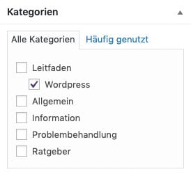 Die Auswahl der Beitrags-Kategorie im WordPress-Dashboard beim Schreiben eines Beitrags nach der Erstellung einer neuen Beitrags-Kategorie mit Beispiel, auf eine Kategorie reduziert