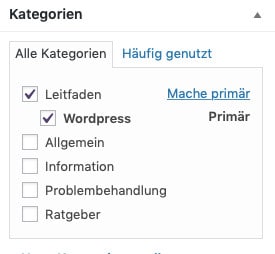 Die Auswahl der Beitrags-Kategorie im WordPress-Dashboard beim Schreiben eines Beitrags nach der Erstellung einer neuen Beitrags-Kategorie mit Beispiel