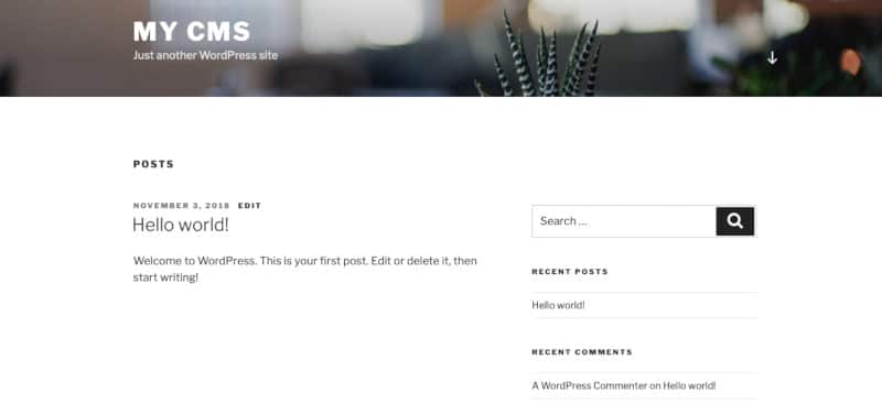 Die Ansicht einer neuen WordPress-Website mit standard-Platzhalter-Inhalten, etwas weiter unten, gescrollt